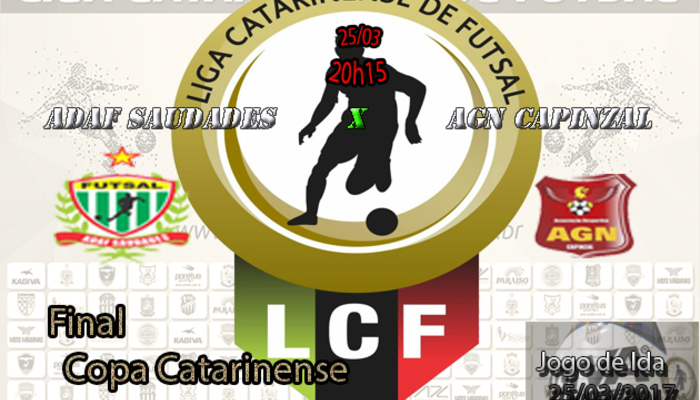 Banner final copa catarinense