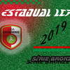 LIGA CATARINENSE LANÇA SÉRIE BRONZE LIGA CATARINENSE LANÇA SÉRIE BRONZE