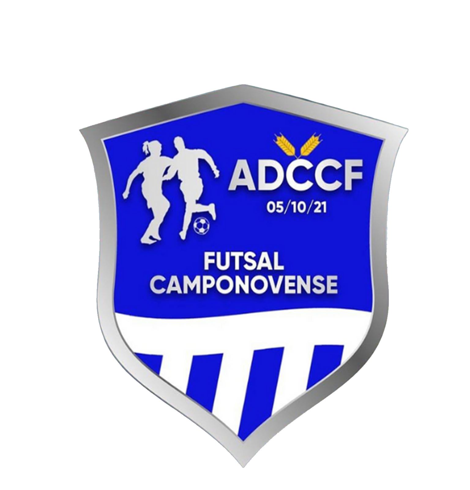 Futsal campovonense
