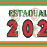 TAÇA BARRIGA VERDE INICIA COM VITÓRIA DOS MANDANTES