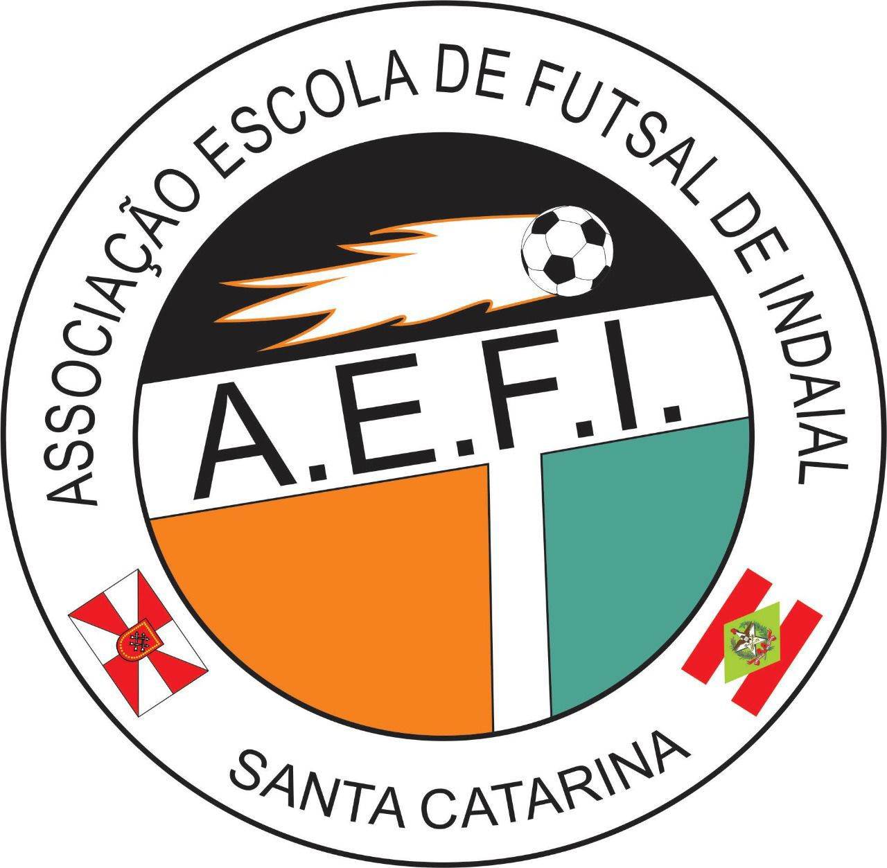 Logo aefi 2